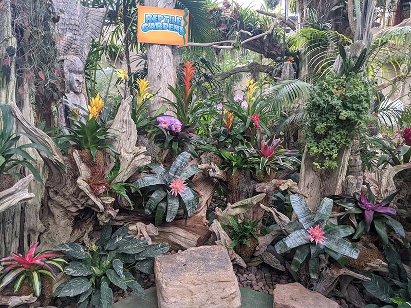 Reptile Gardens